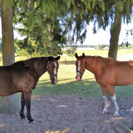 Landtraum Im Traumland Mecklenburg Lejlighed